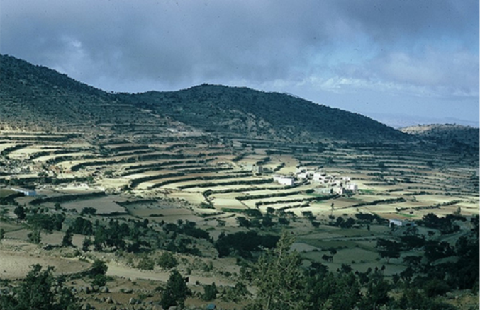 صورة 1